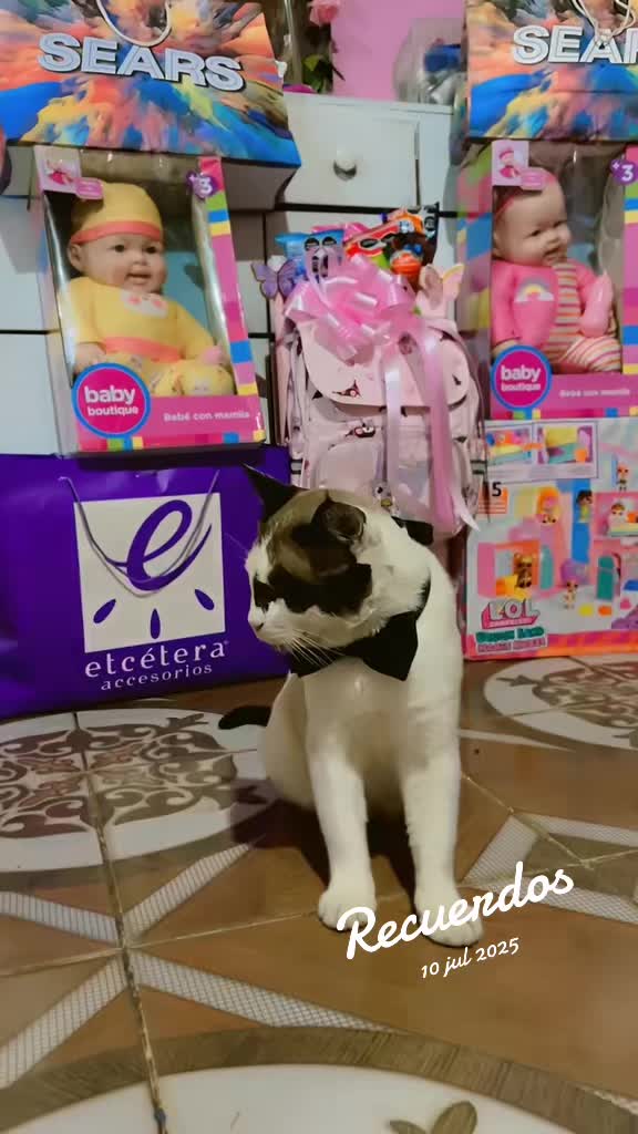 @Mi bella Prinsesa👑💕que adoro