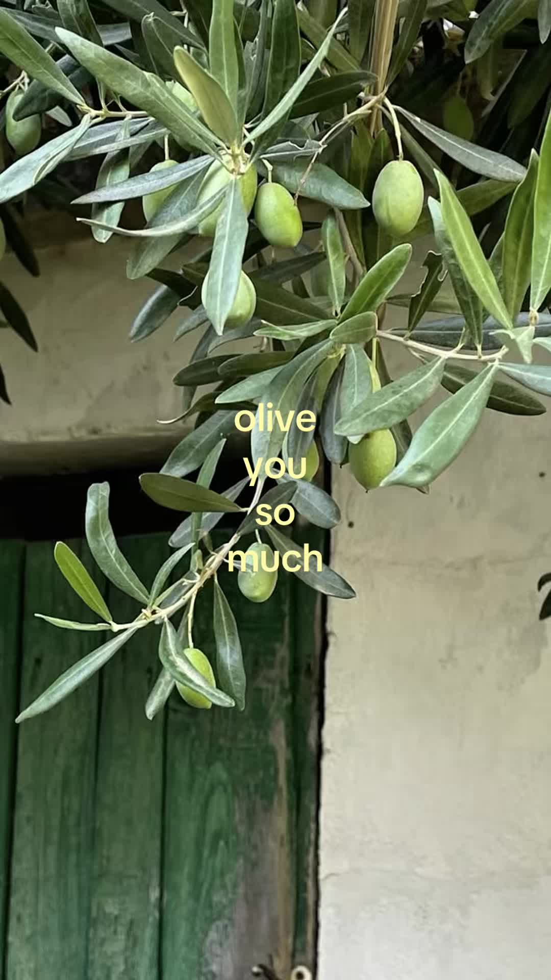 @motionsoflove