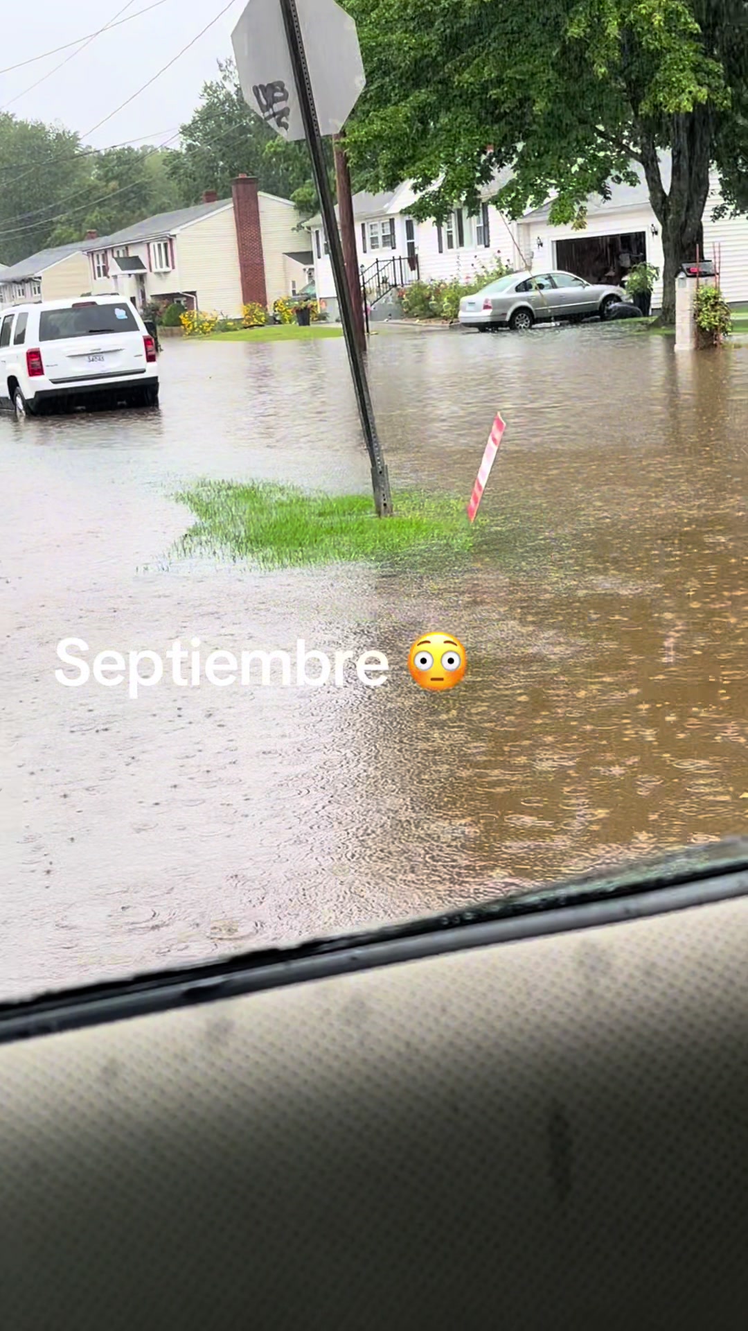 @Consuelo S