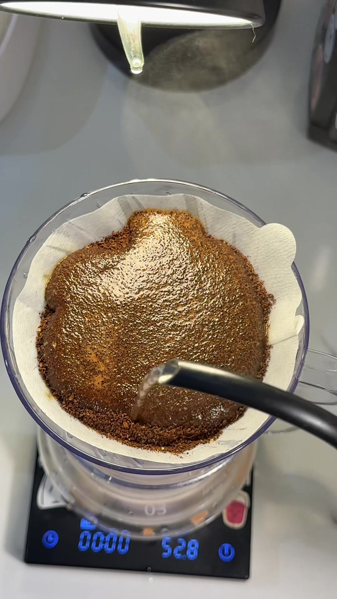 @ابتهال الشمري