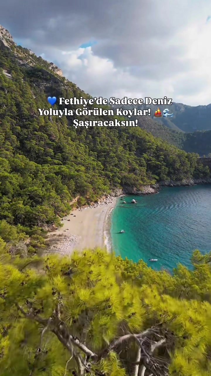 @Abdullah Şahin