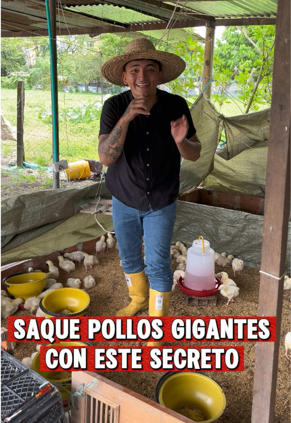@elmagnatedelospollos