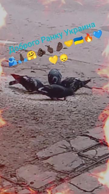 @👿Юльчонок Волчонок🫰🏿