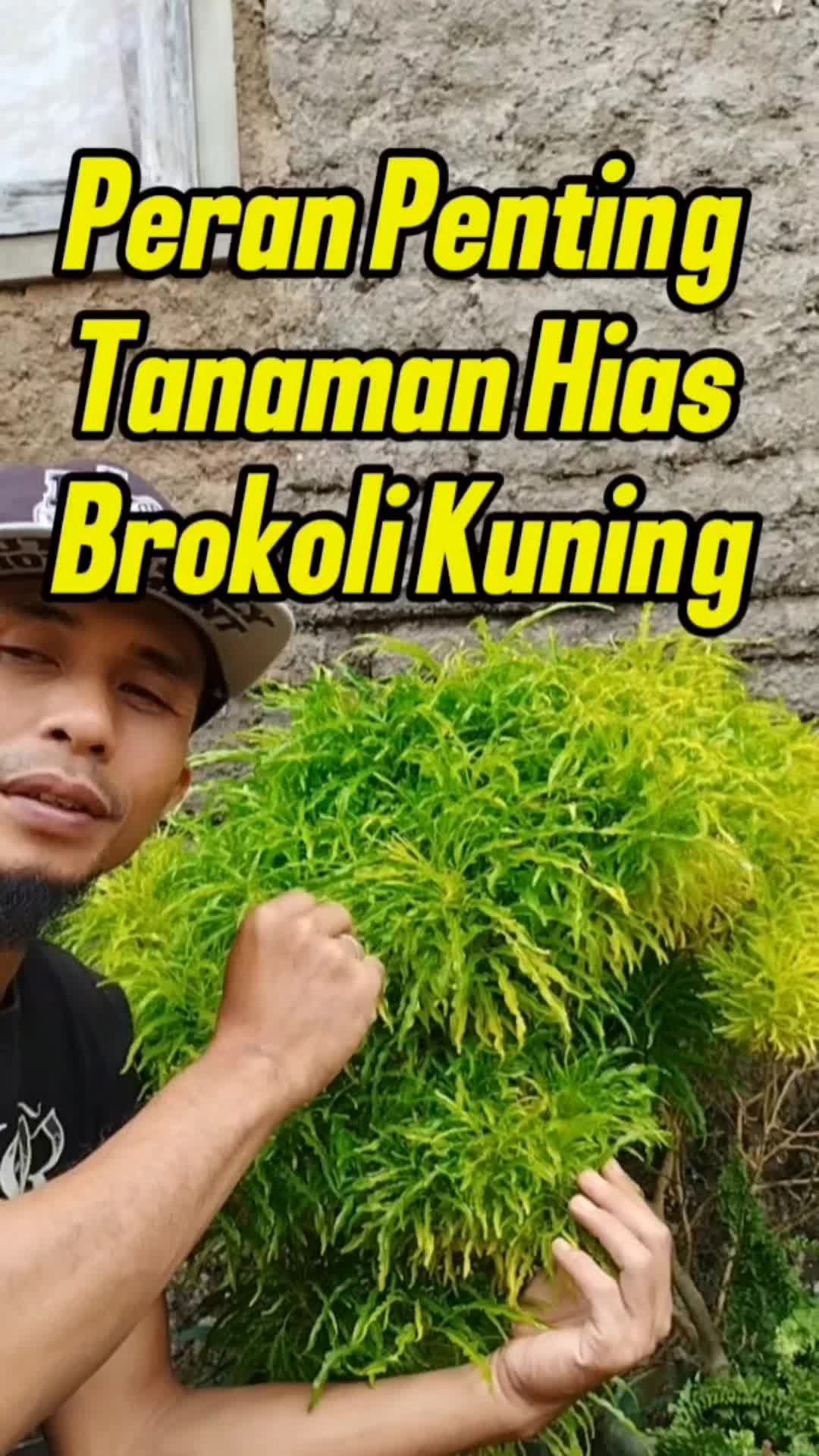 @Bukit Farming