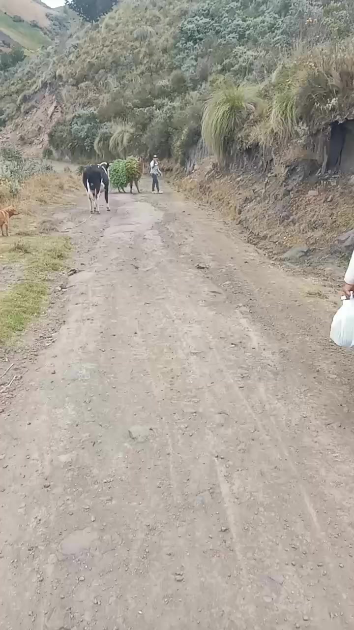 @Ana Tipantuña