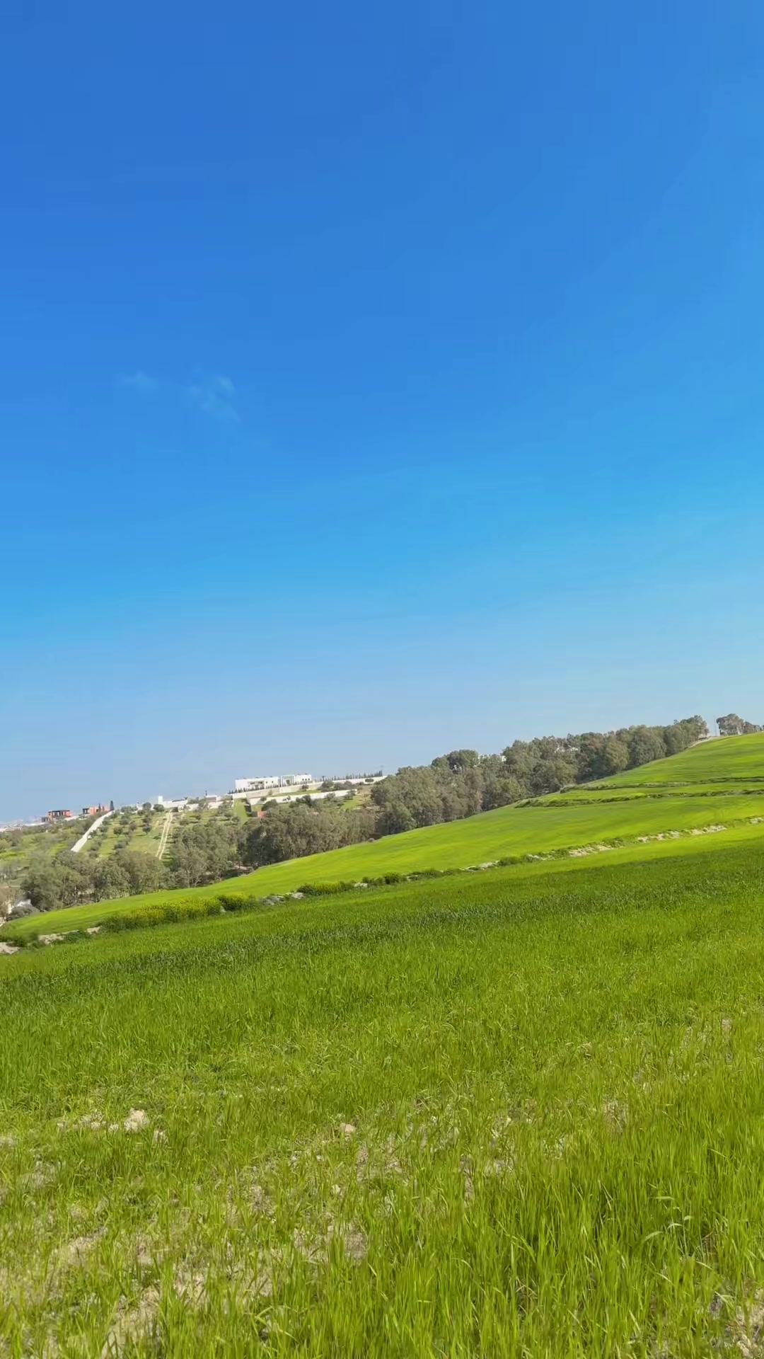 @khaoula kassaoui