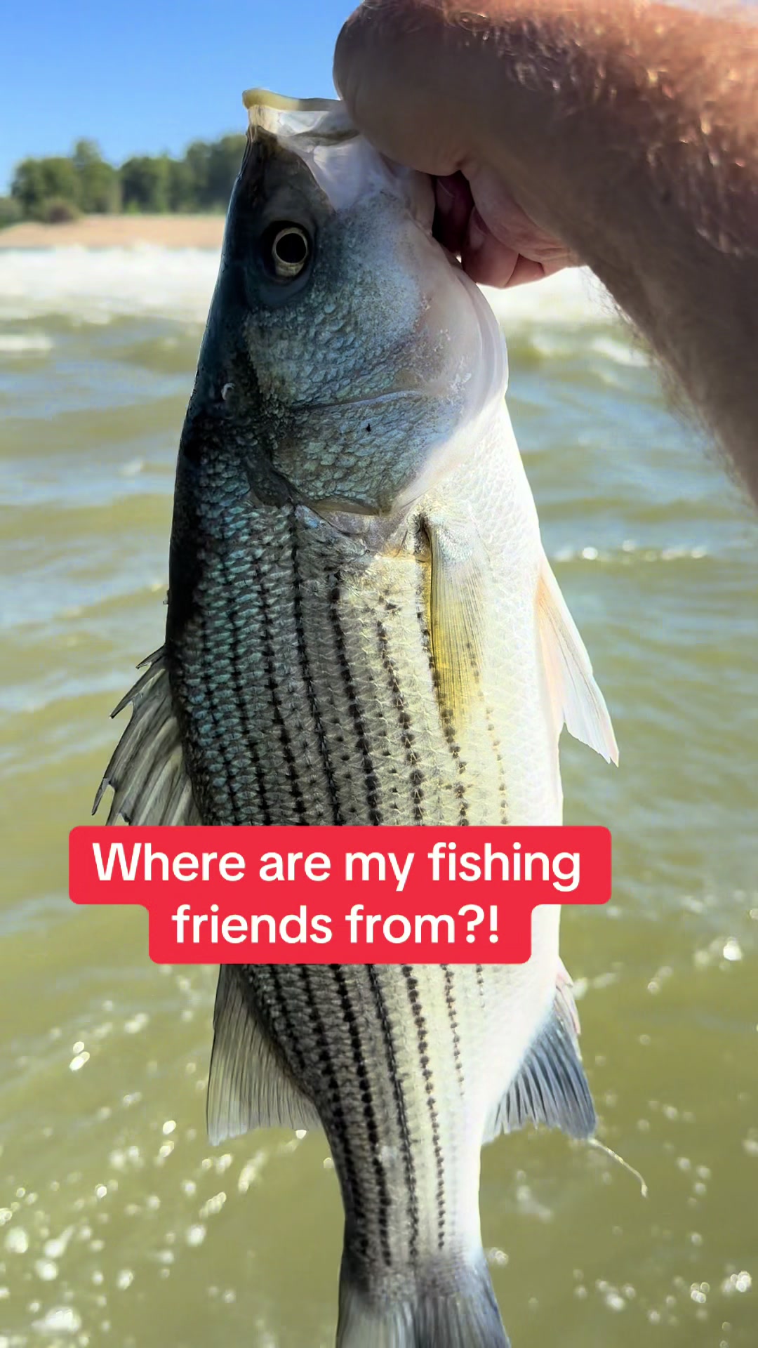 @Kentucky&ensp;Fishing