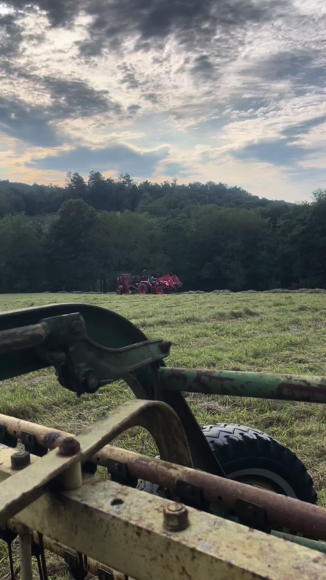 @Sami • LDH Farmstead