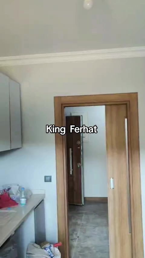@kingferhat41