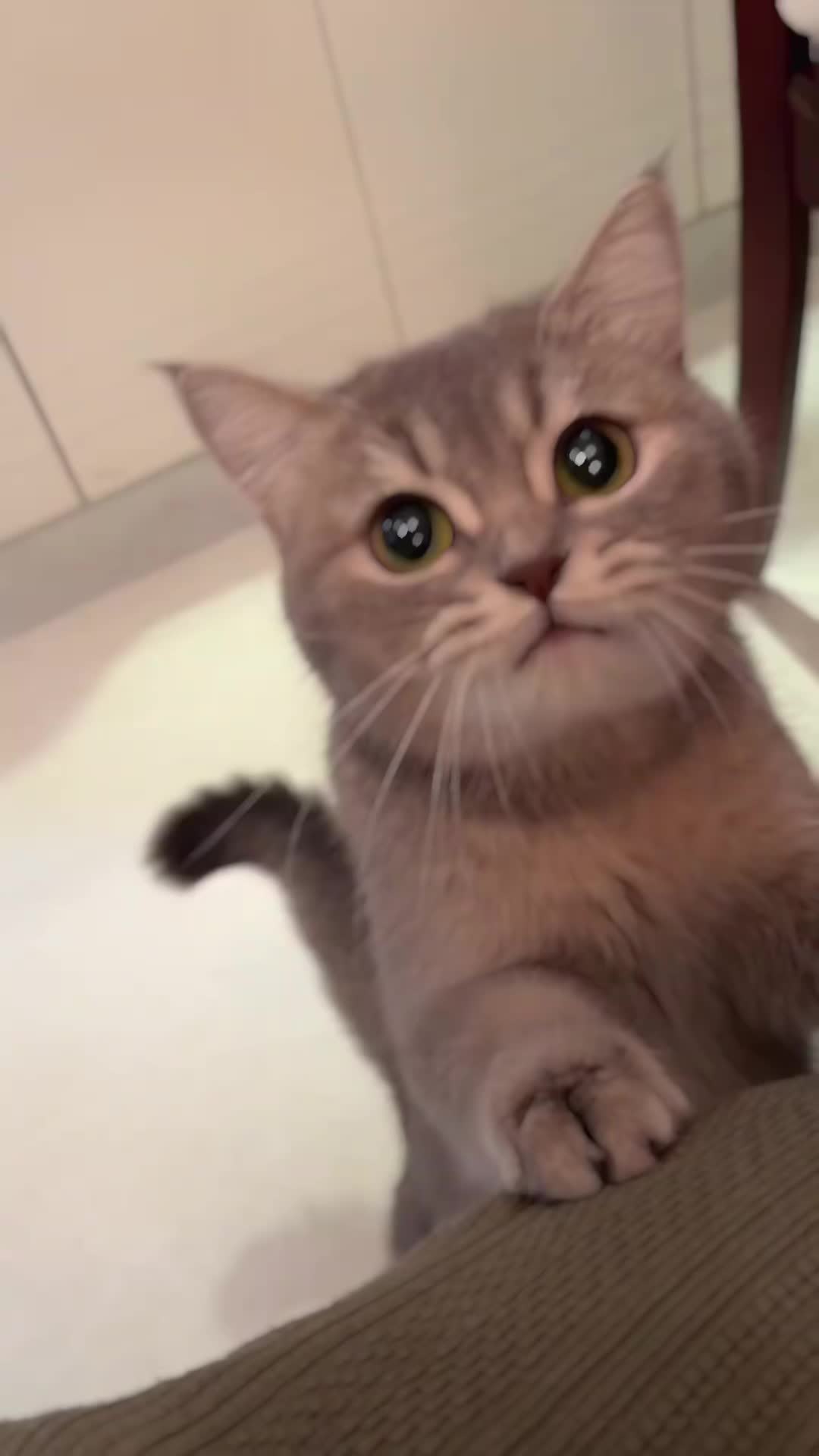 @CÔNG NGHỆ MỚI