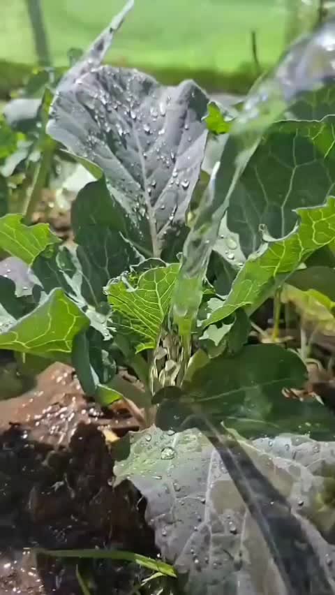 @user20505406424