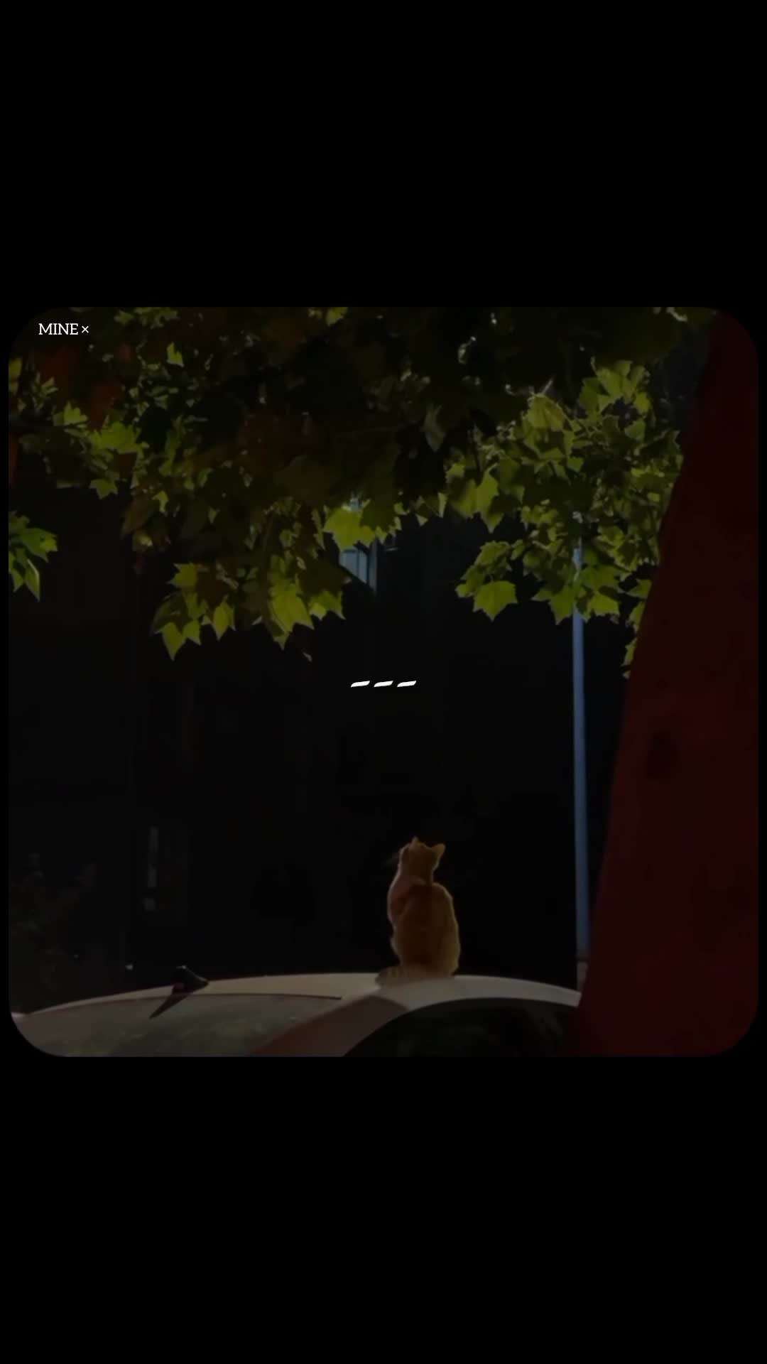 @𝙉𝙊𝙏 𝙈𝙄𝙉𝙀❀