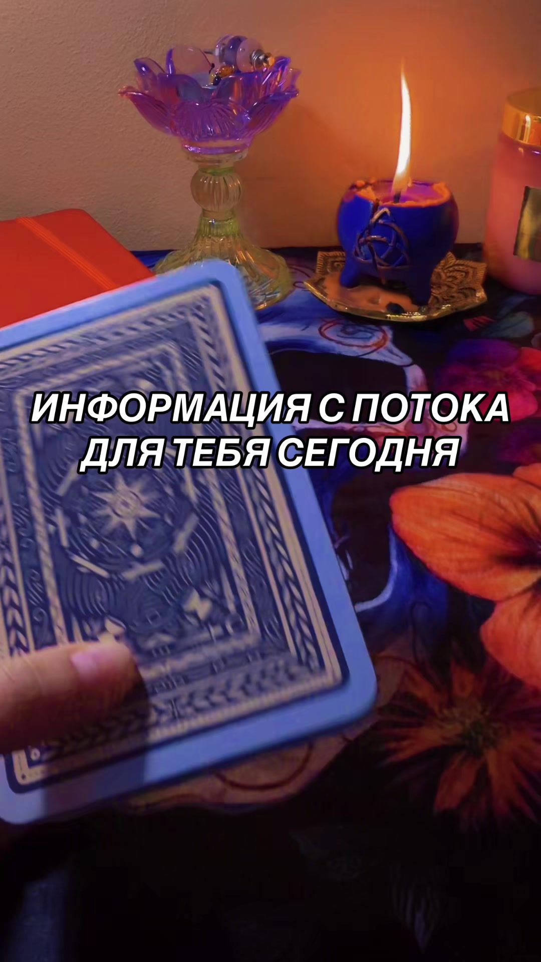 @Ника Козельская