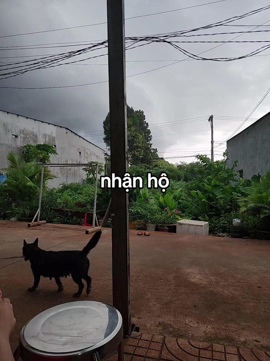 @Hộ