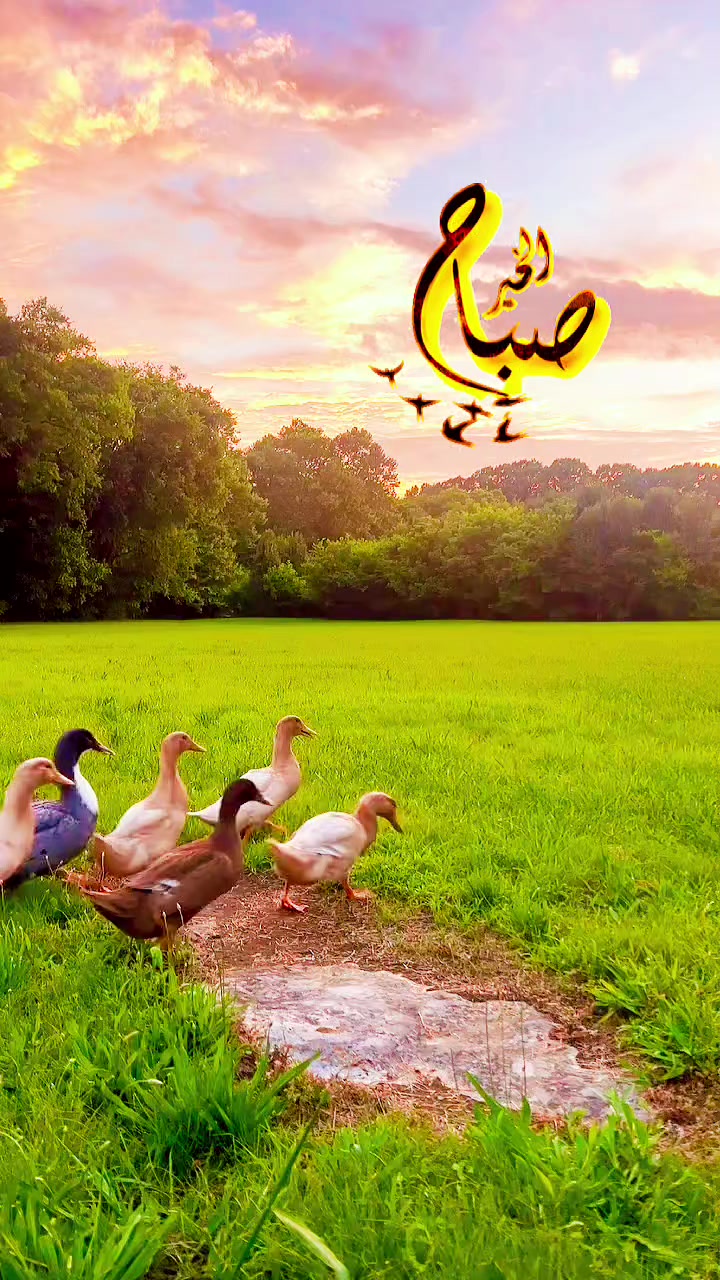 @🌟𝗦𝗼𝘂𝘇𝗮𝗻 𝗖𝗵𝗮𝗺𝘀