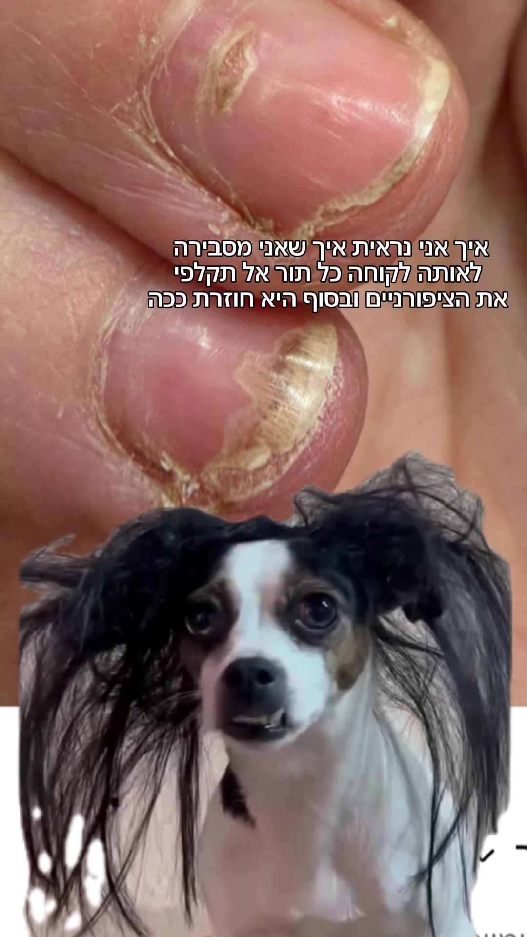 @Lital Sheli Cosmetics