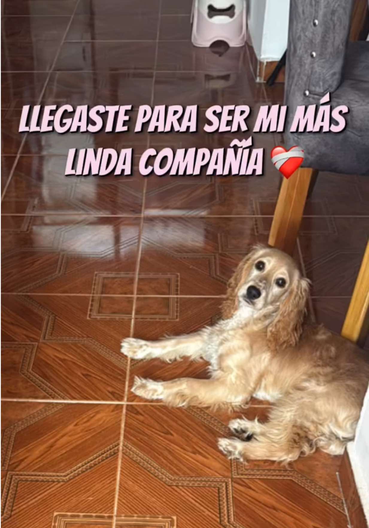 @Valentina Cortes Montoya🩷