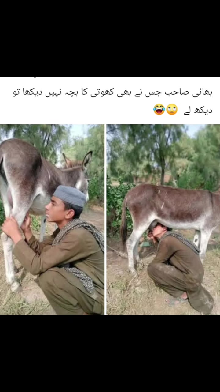@Malik.Umar.Sab