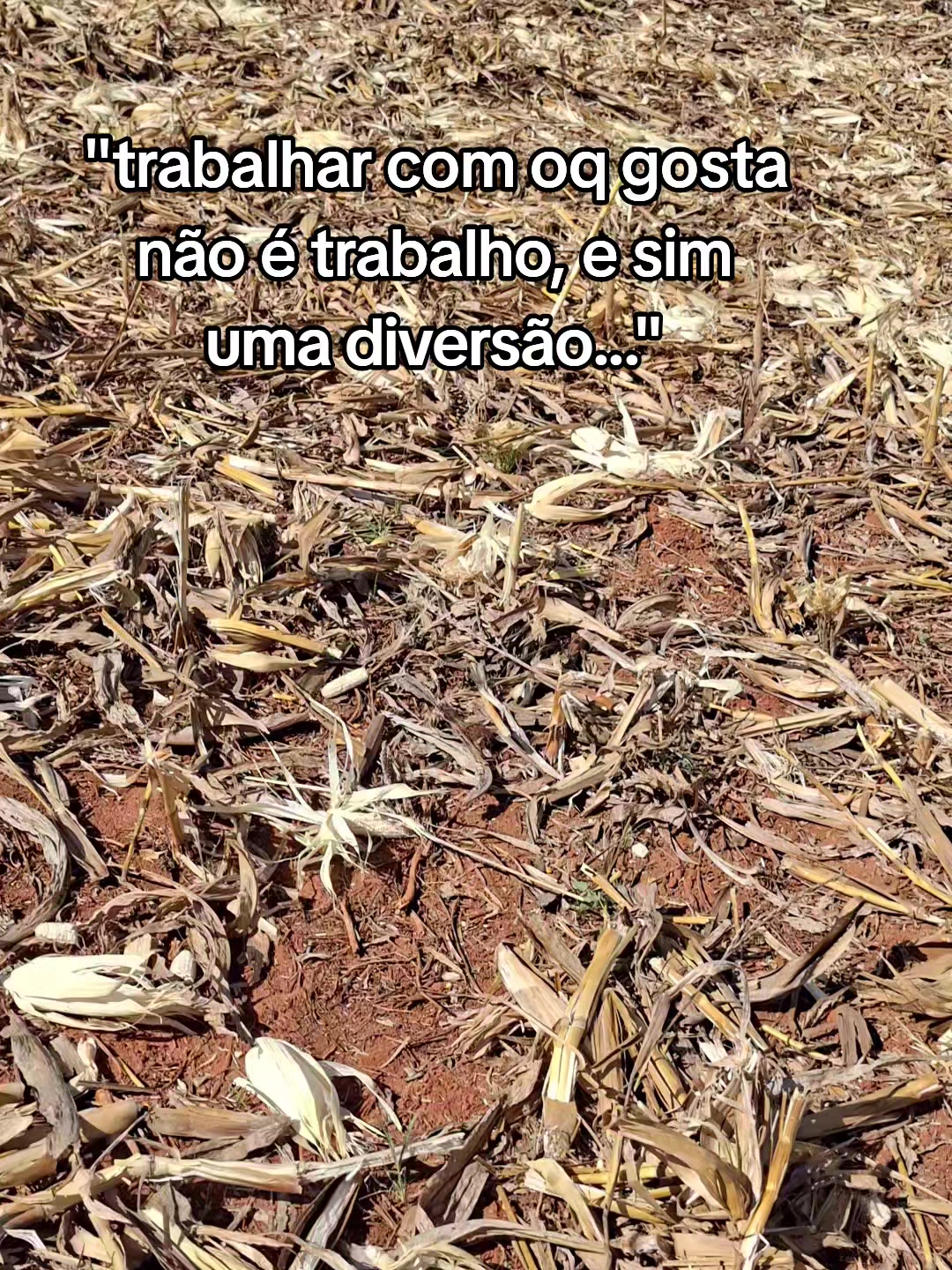 @Kaique 🇧🇷