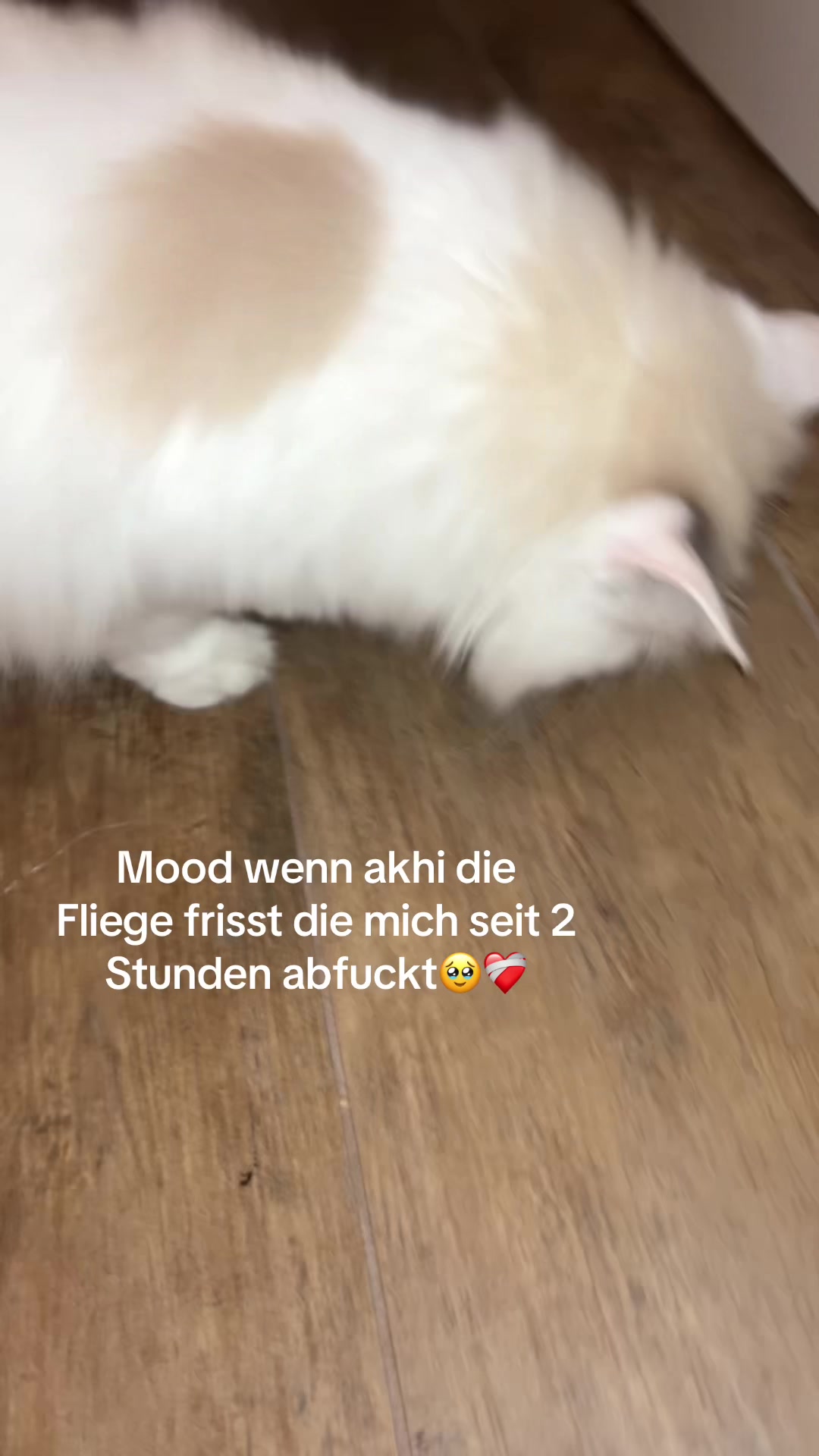 @Ella