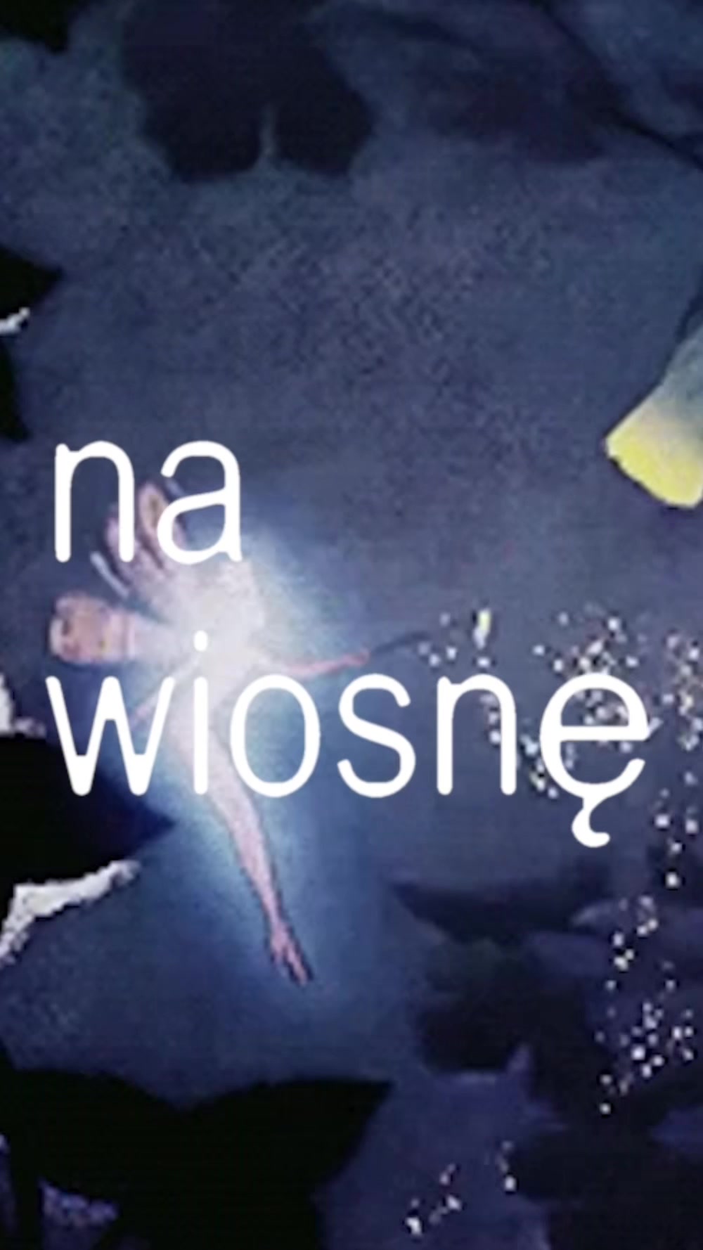 @Dawid Walkusz