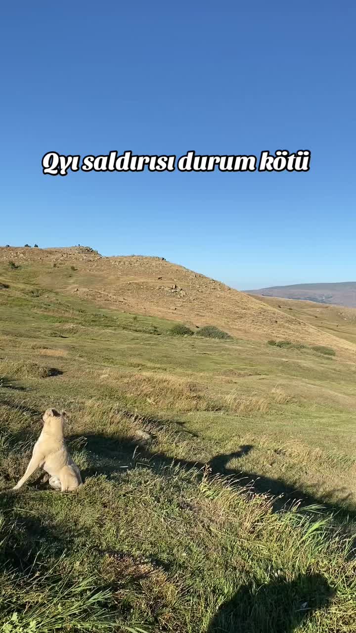 @doğukan