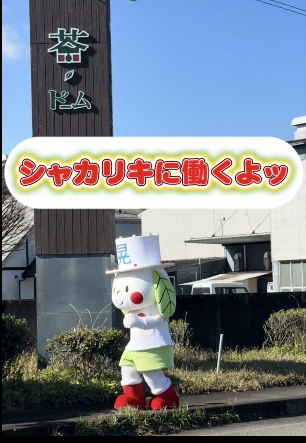 @お茶わんこはがねちゃん 堀口製茶PRキャラ