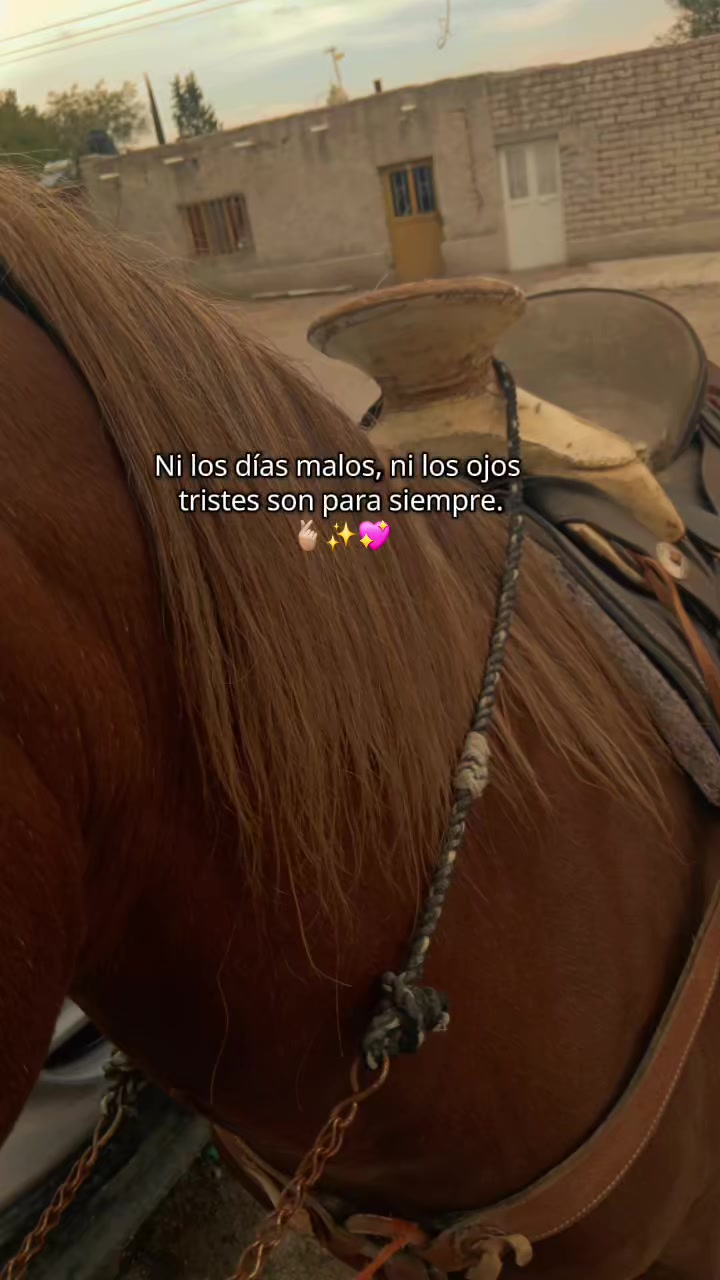 @mili campa