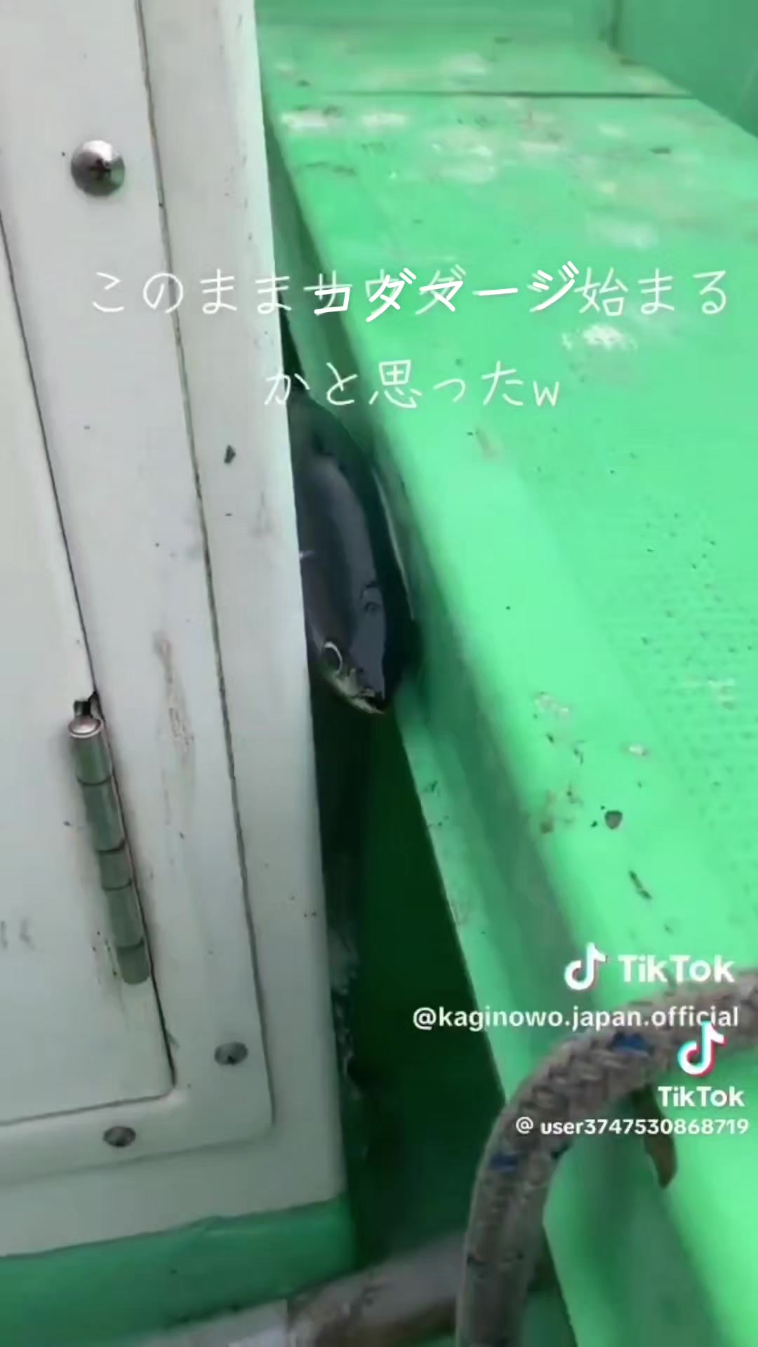 @タピオカ