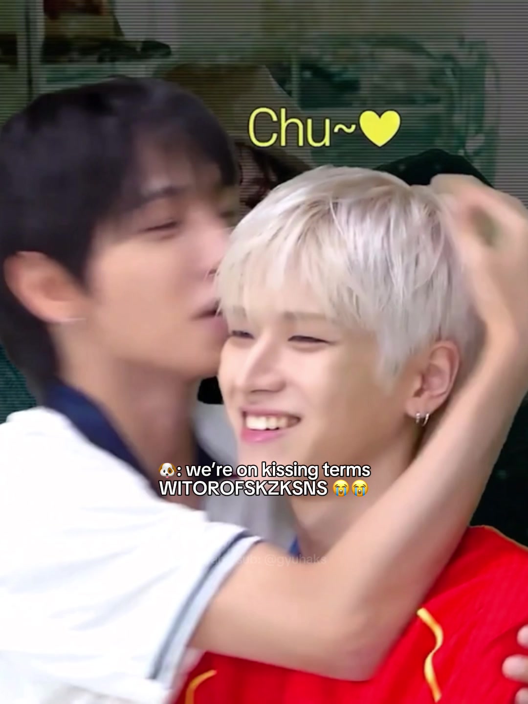 @gyuhaks 🐶🧸
