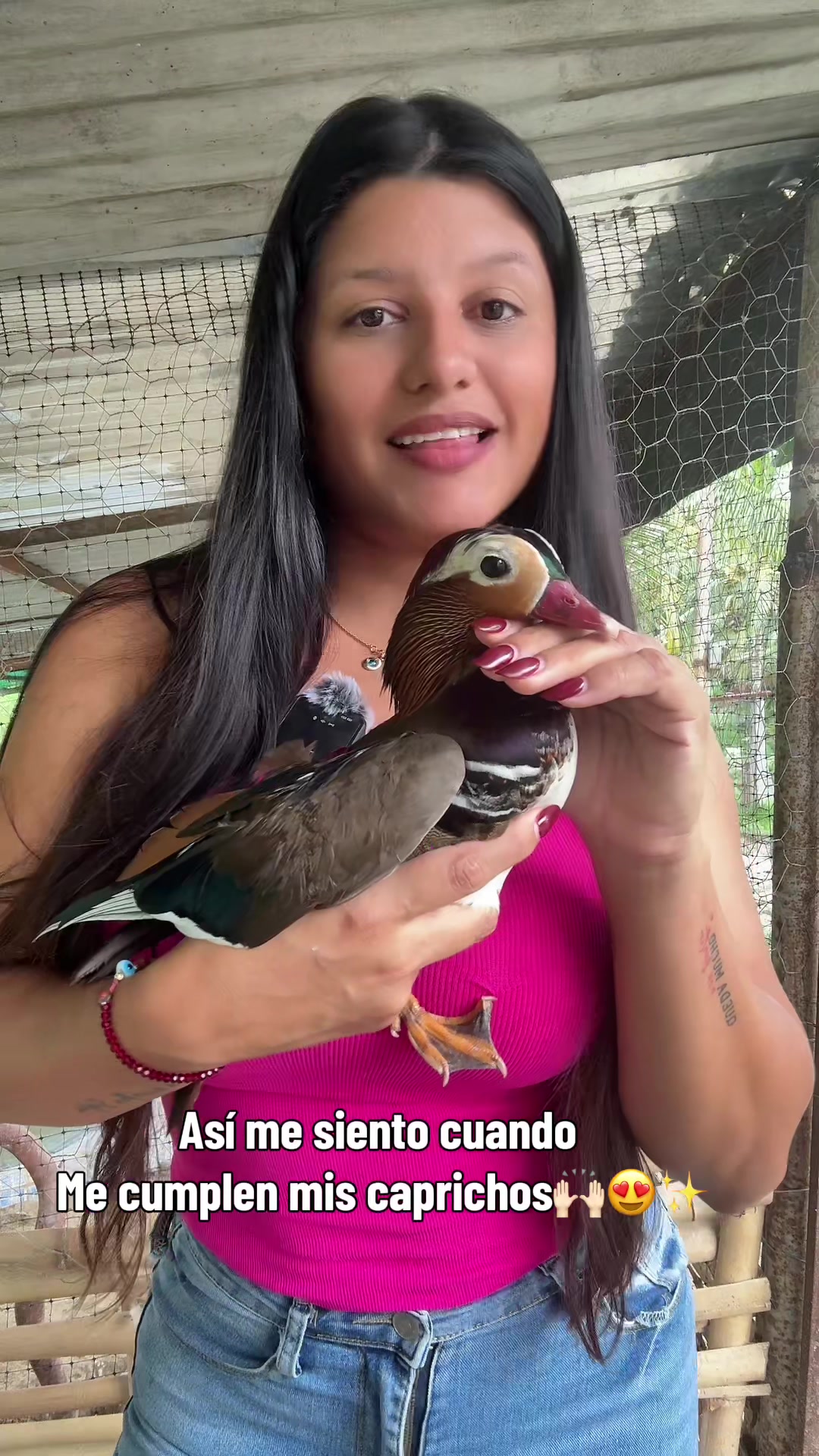 @Granjamascotalandiayaracuy