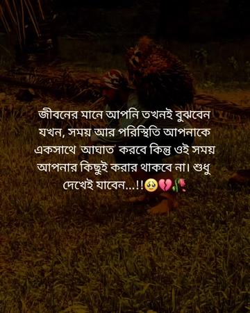 @mdlitonahmed380
