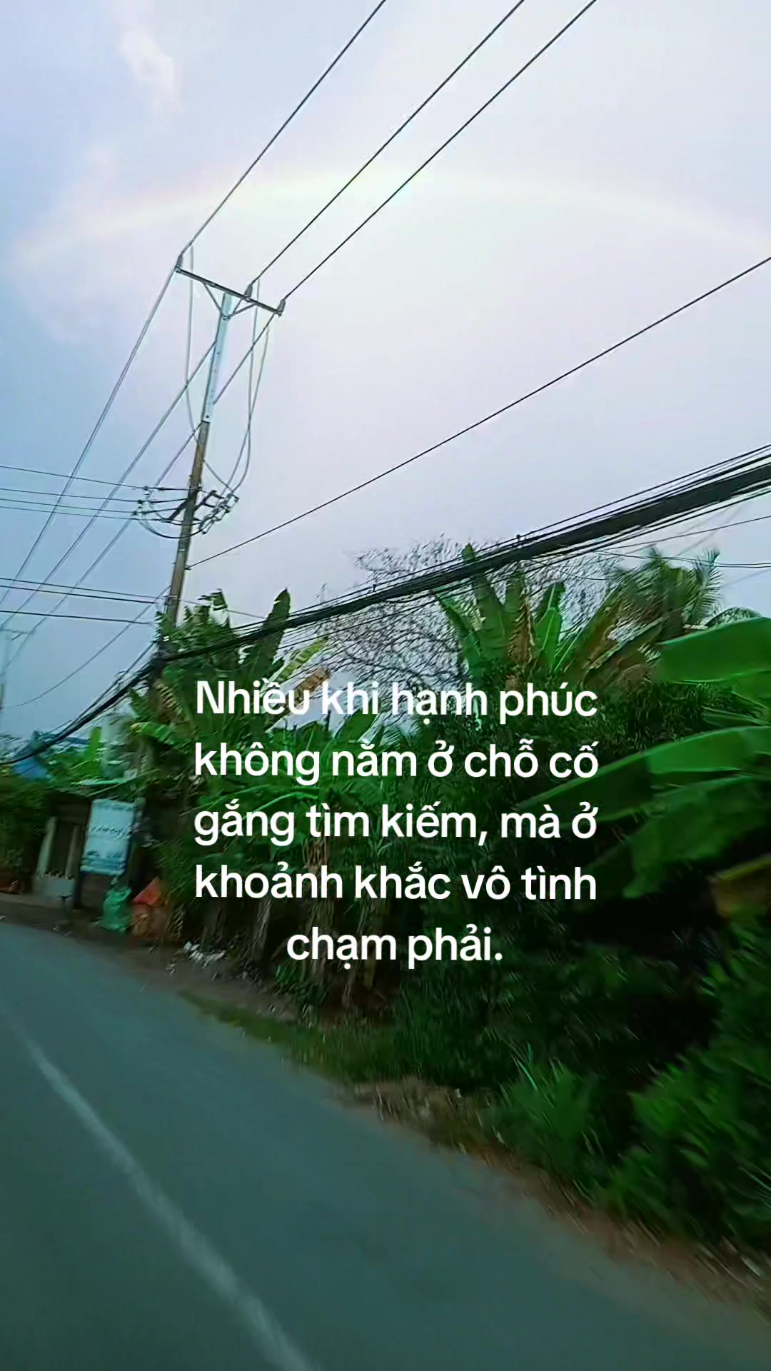 @Thanh_Nguyet