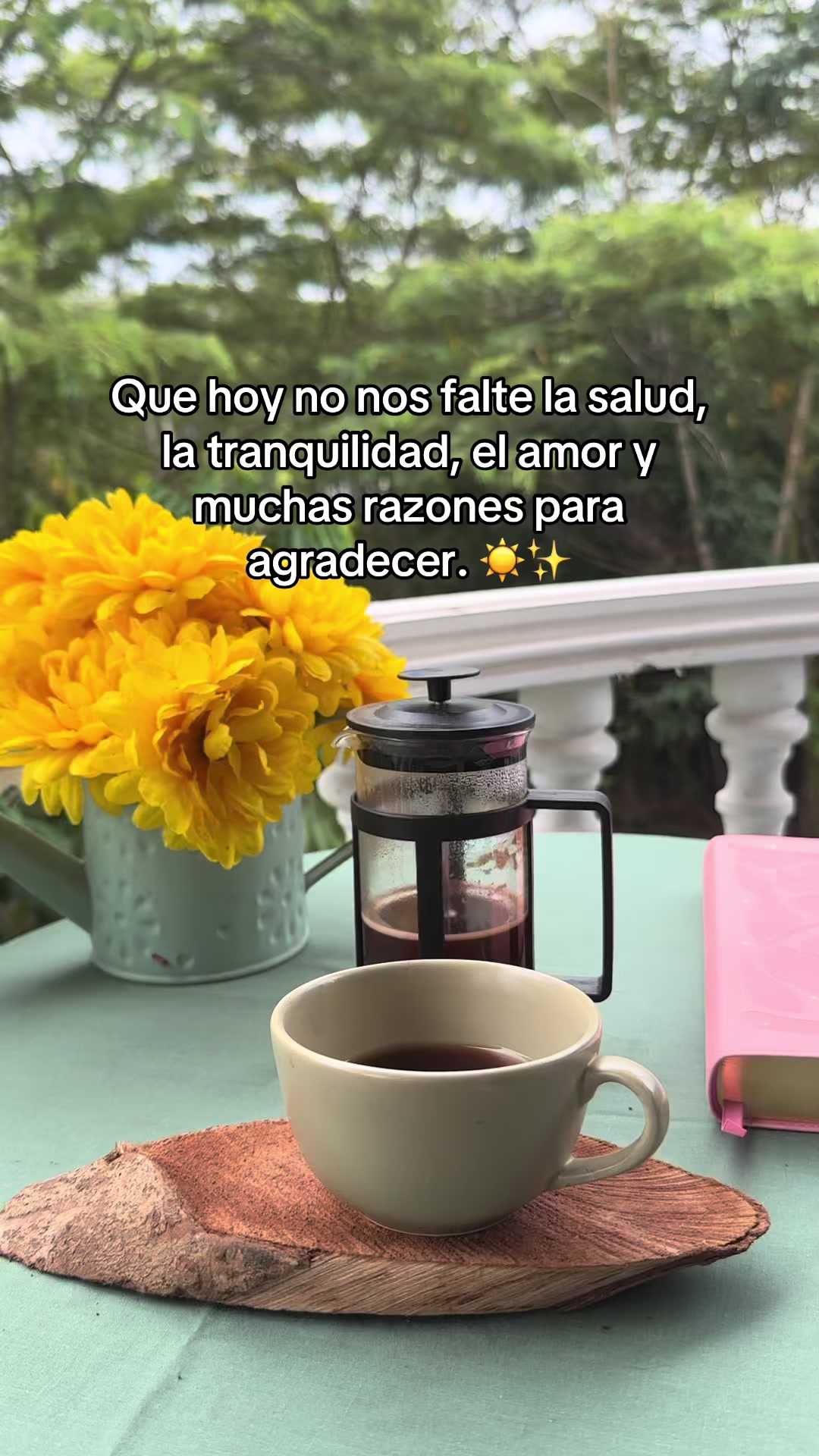 @Sandra Castro