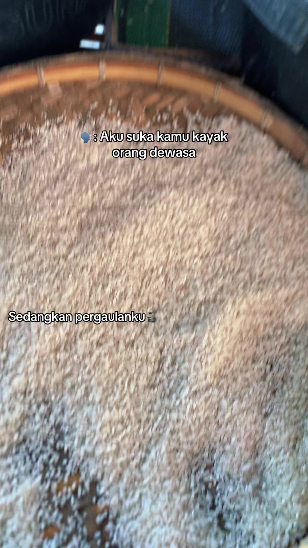 @Pipi