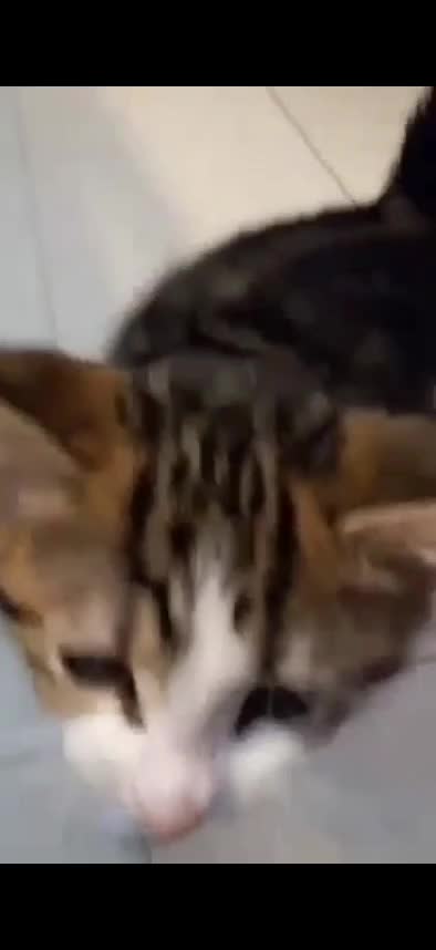 @Stizzles