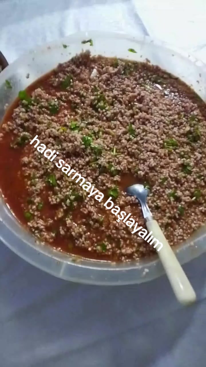 @melekmercan05