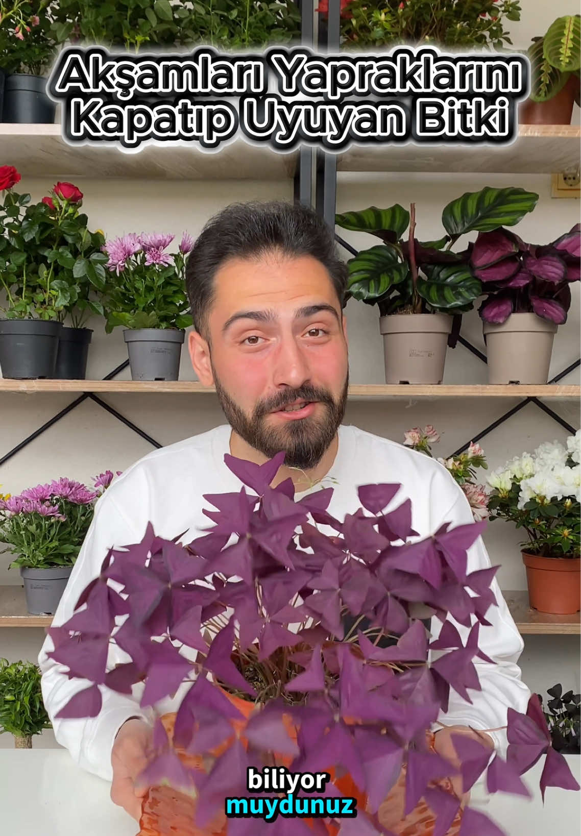 @Saklı bah&ccedil;e Bitkileri