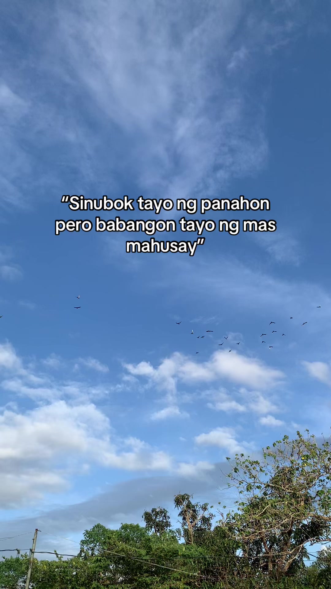 @PAOLOFT TV