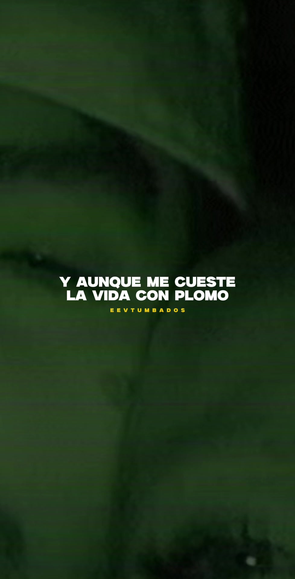 @eevtumbados_