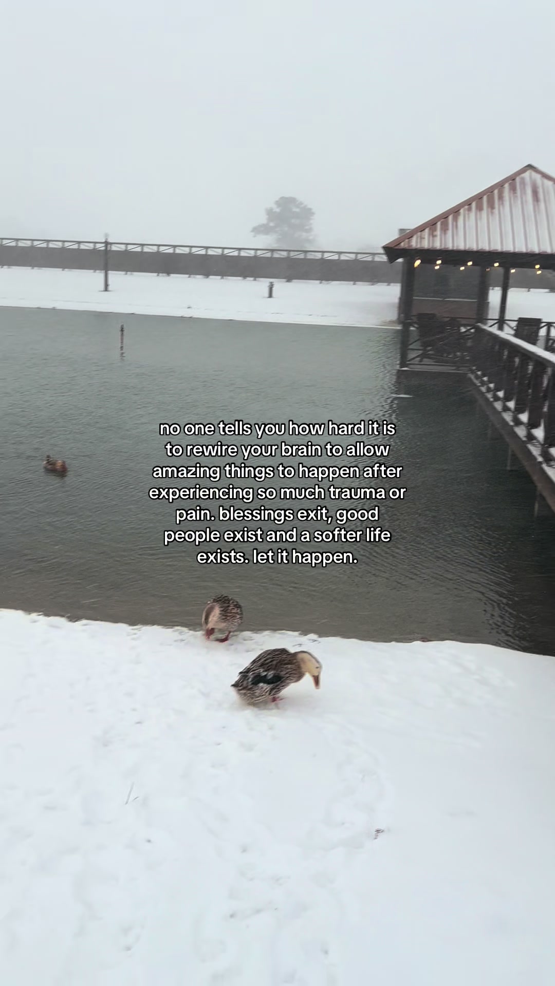 @Casey Wheeler ᥫ᭡