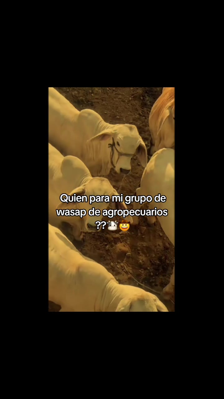 @ganadería🐮 y caballo🐴☠️