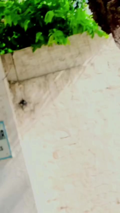 @🔥انجینئر محمد حارث خان کھرل🔥