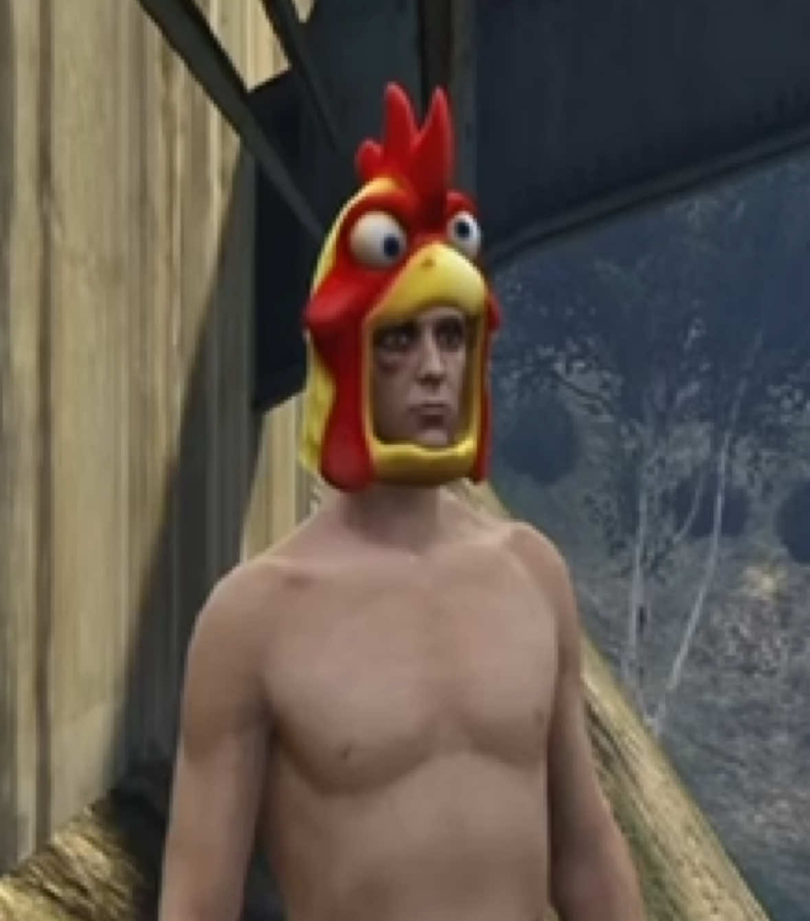 @atom_chicken