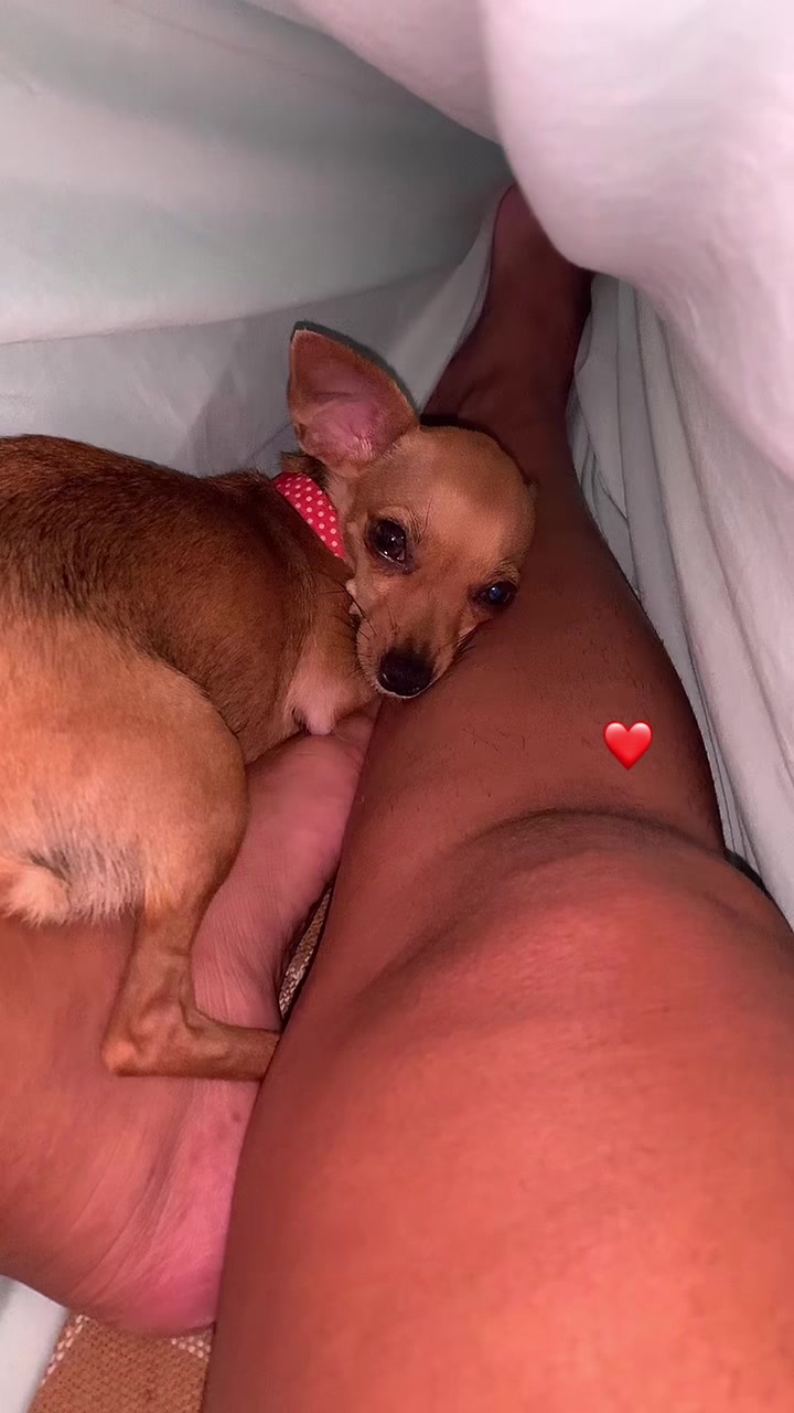 @jacquellynemarques