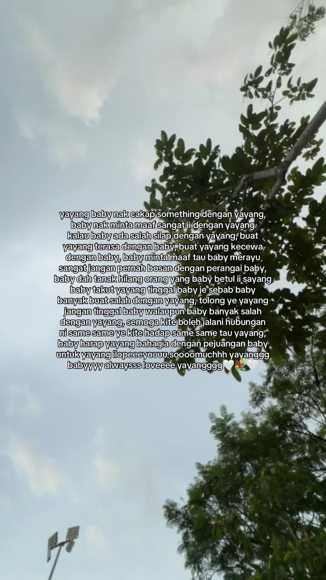 @ytjt