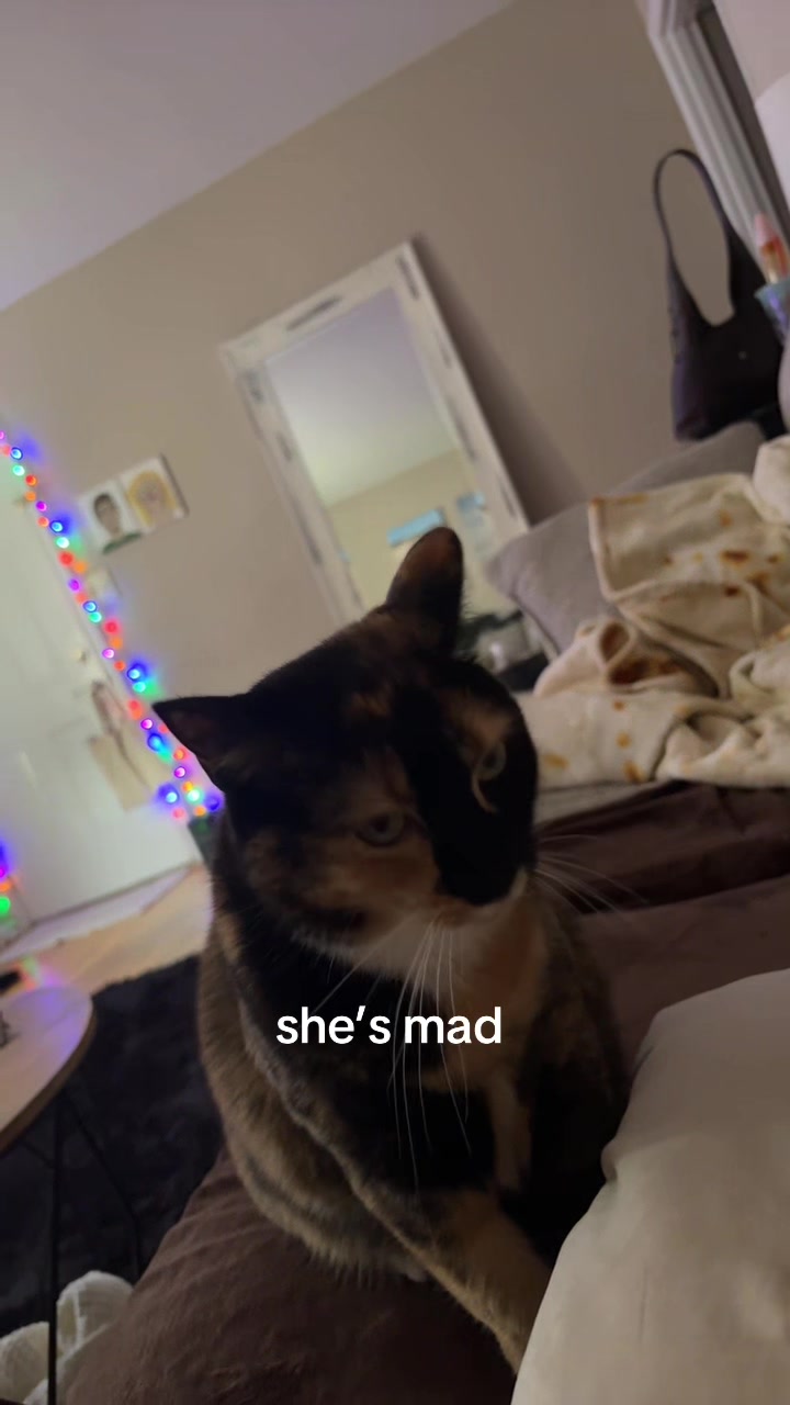@shyra