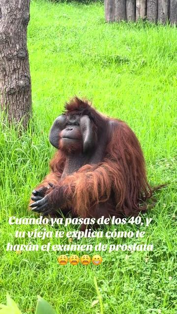 @Roxana B