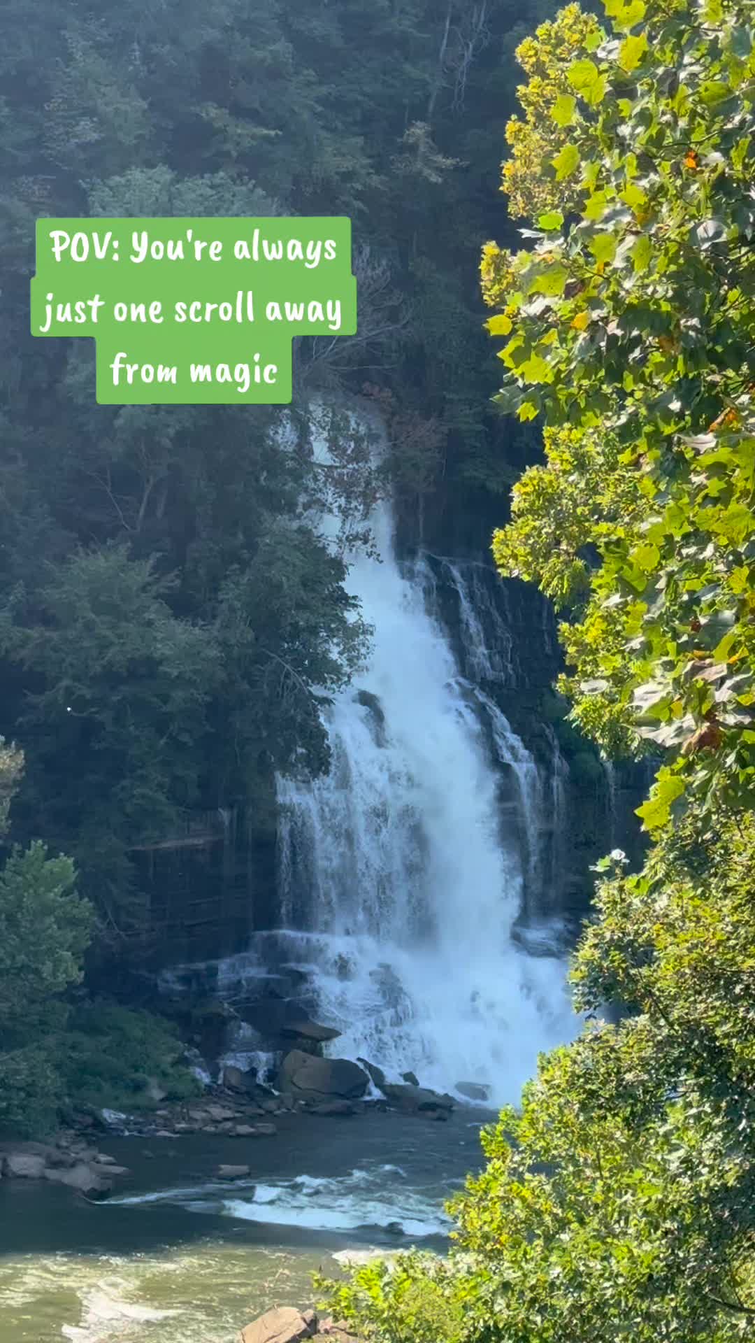 @🇺🇸 🐸 PatriotUnicorn333✝️ 🦄