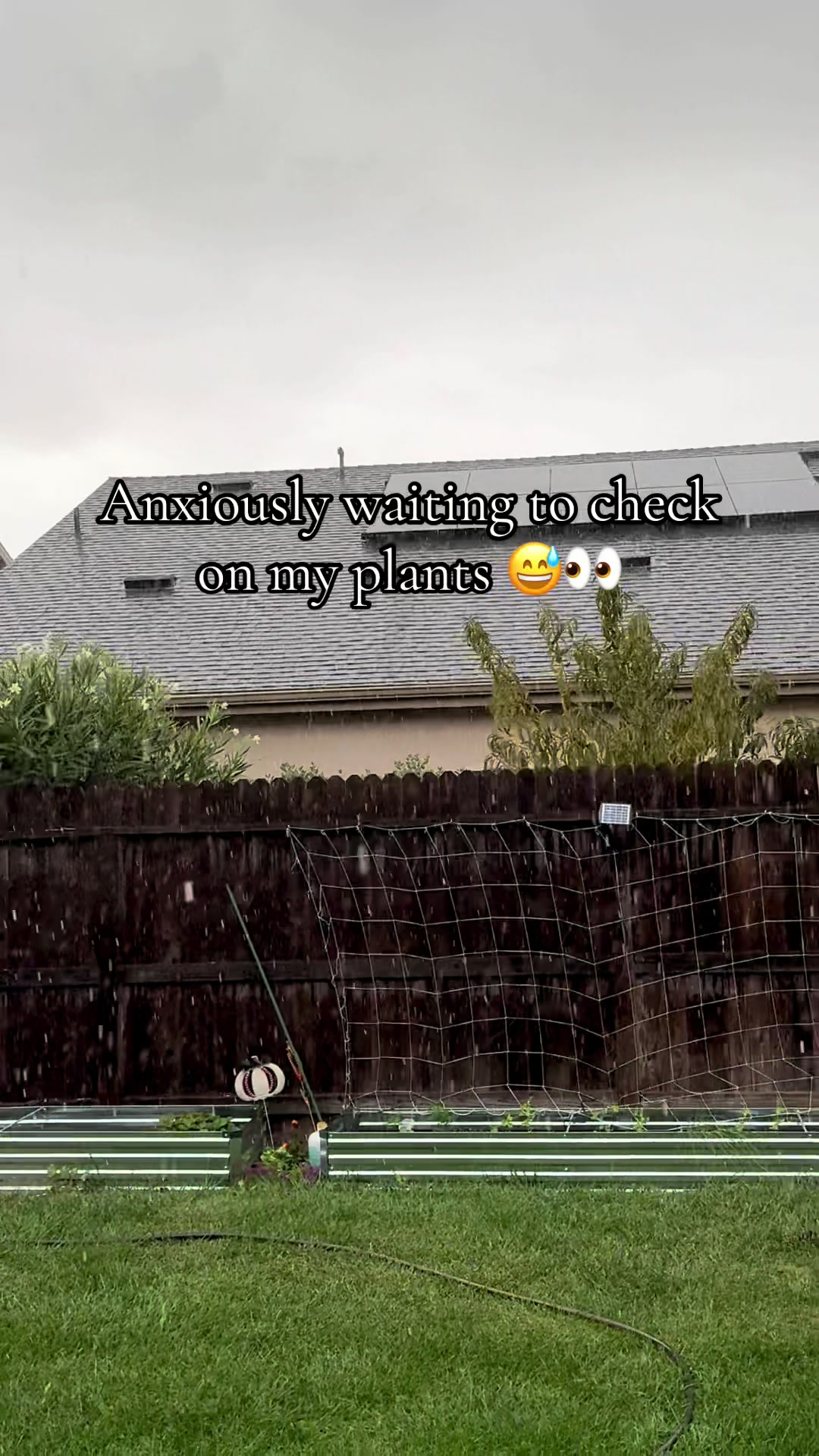 @plantingwithe